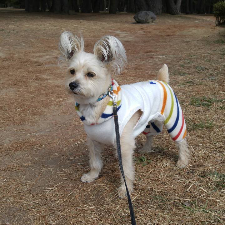 C7eb8cfb 3d56 45b8 8b16 4a1fa13109a4