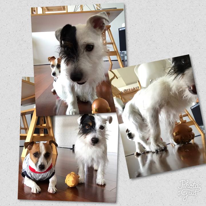 C7ebd477 8e9d 49f8 99e0 54d91ac32f00