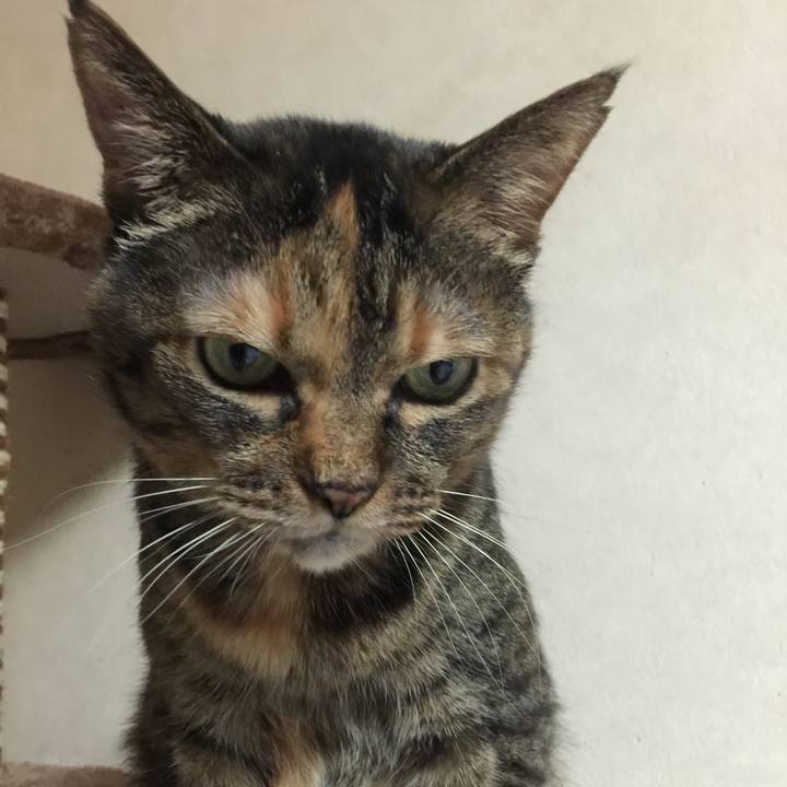 C7ec4ab1 9a31 46de 86ee 593446626439