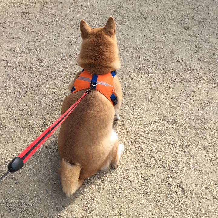 C7ecd06e 601f 497a a36d e81dbdef6794