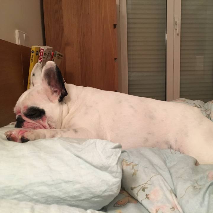 C7ed455d 1407 40d7 919b 3215bf3590e6