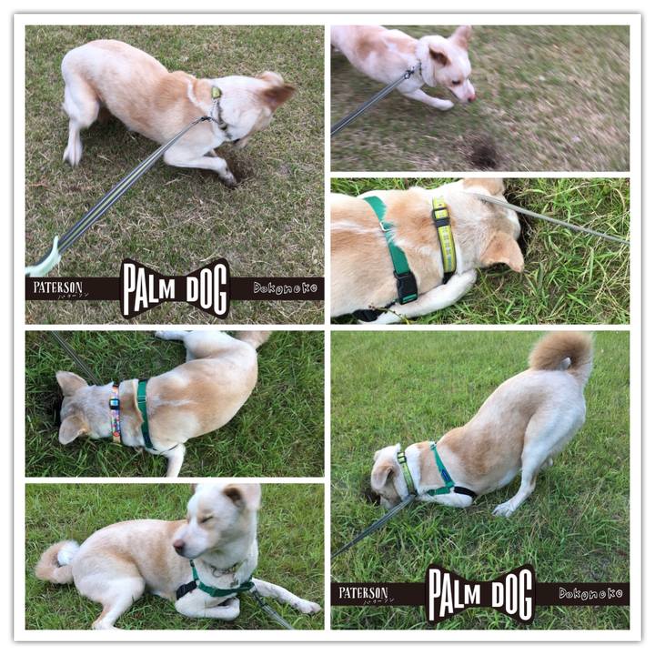 C7ed546a 6adc 42eb 9091 3b69521732bf