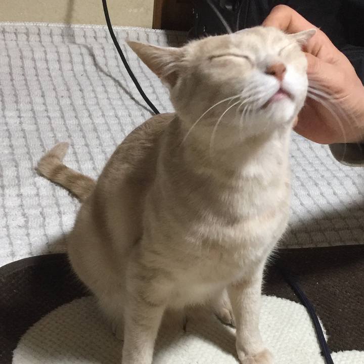 C7edf7d4 056c 4880 b6d5 4d72768d2d36