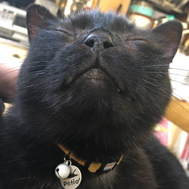 C7ee4b8d 4fd5 49bc a52e d21d9f408ce1