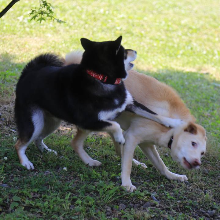 C7ef1df4 bd25 4d92 b408 dcd7b85a9894