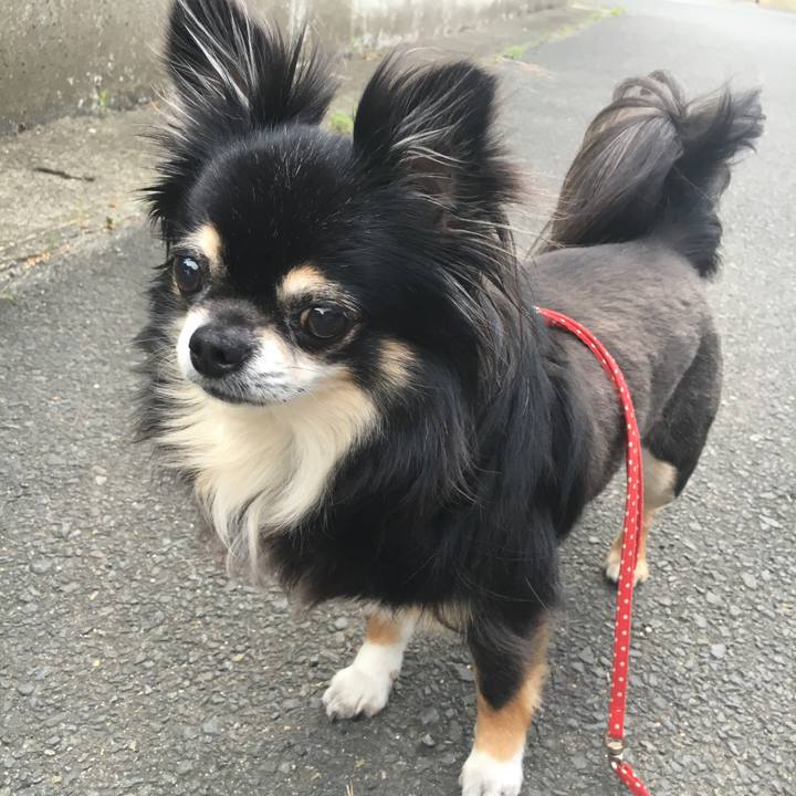 C7ef225a 53ee 4712 a009 47acc1f03dd5