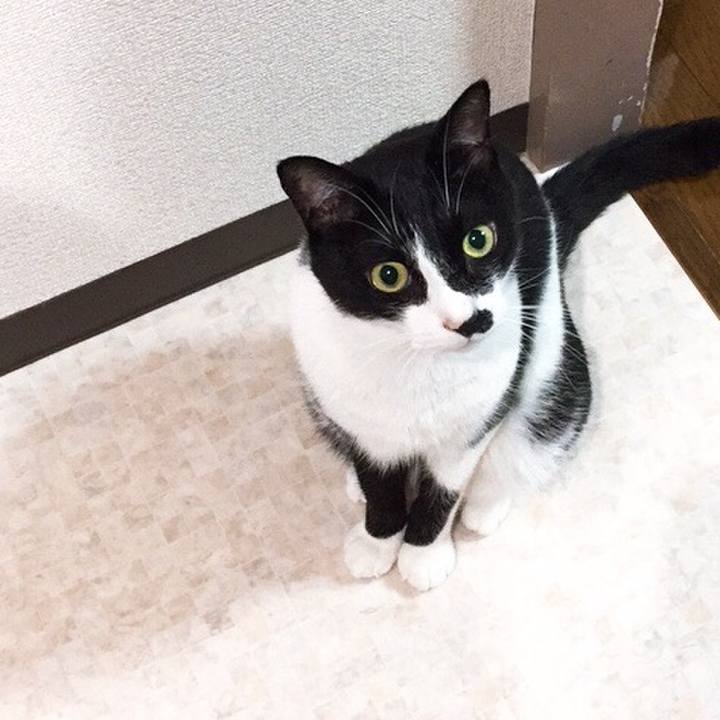 C7ef522c f134 4bc0 b906 8a4783721a34