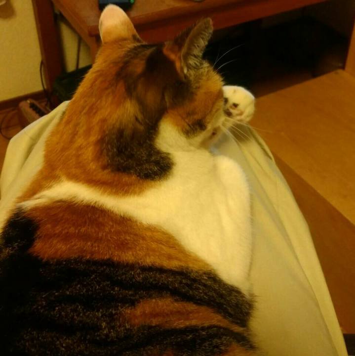 C7ef71a7 1b48 4ea5 9525 c21e69180db4