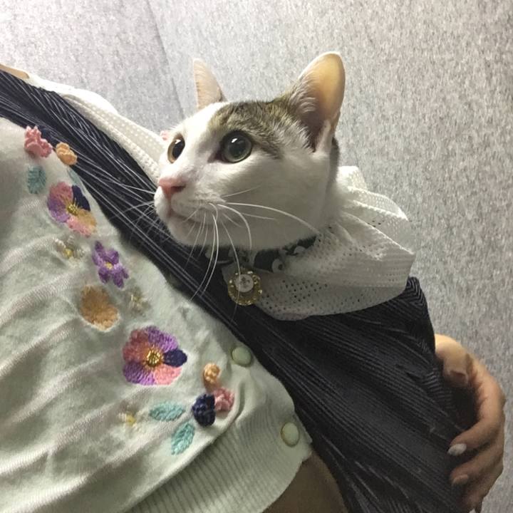 C7efbf5b b137 47e5 bb65 c52d65157f74