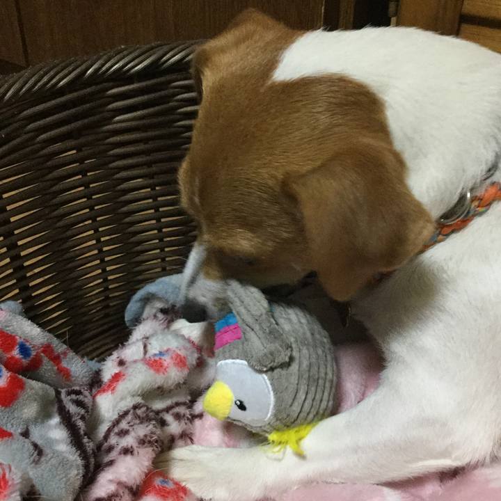 C7efc07c f0ae 4dc1 8cbf 957c161d45d7