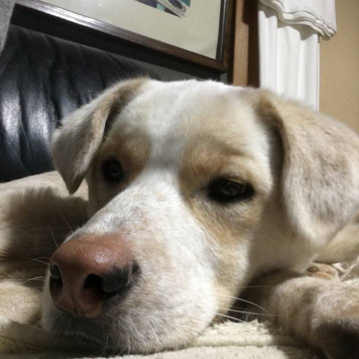 C7eff037 43f2 47f0 82e0 fde7b213f9dd