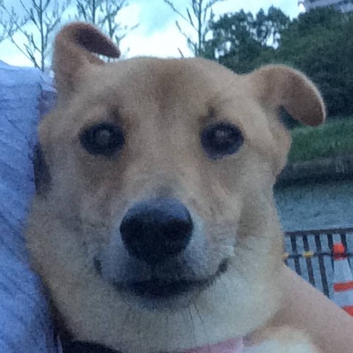 C7f027ad 446b 4bf8 9313 cbef143431ac