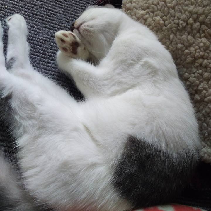 C7f061f8 d2bd 4856 8953 a91a59f92571