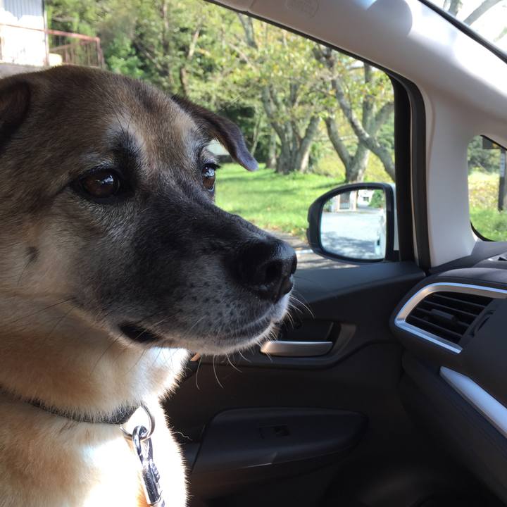 C7f0816a 6b0f 45ae 8810 6ad8675e1367