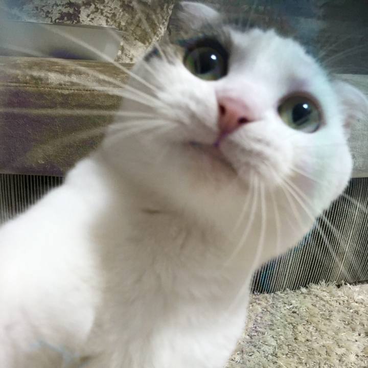 C7f0ceb3 4b0e 44de bed8 d930b94034e9