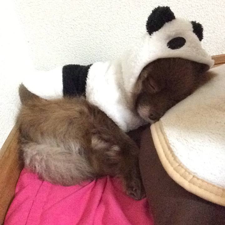 C7f1c9f2 73f7 4766 a70d 1c7f9513528d