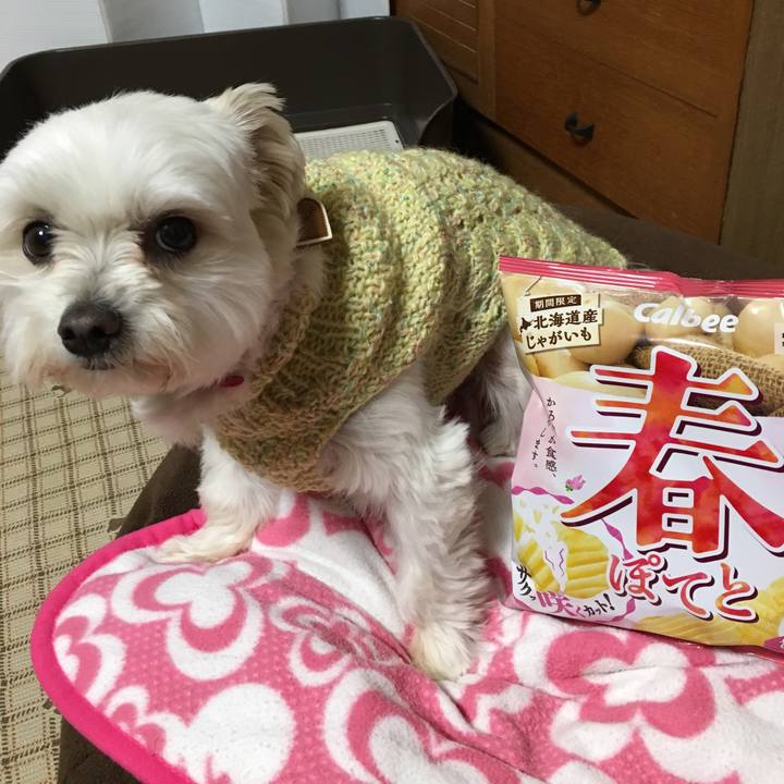 C7f2a8ea 463c 4eab aff5 e1c51fdc1e23