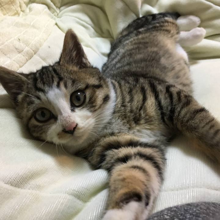 C7f2d20d fc8e 4645 85f6 5f42969402f1