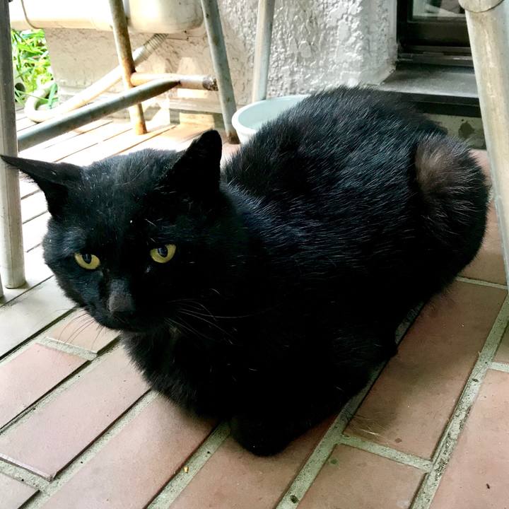 C7f35fbc 634f 475d b239 62845c7fbcdc