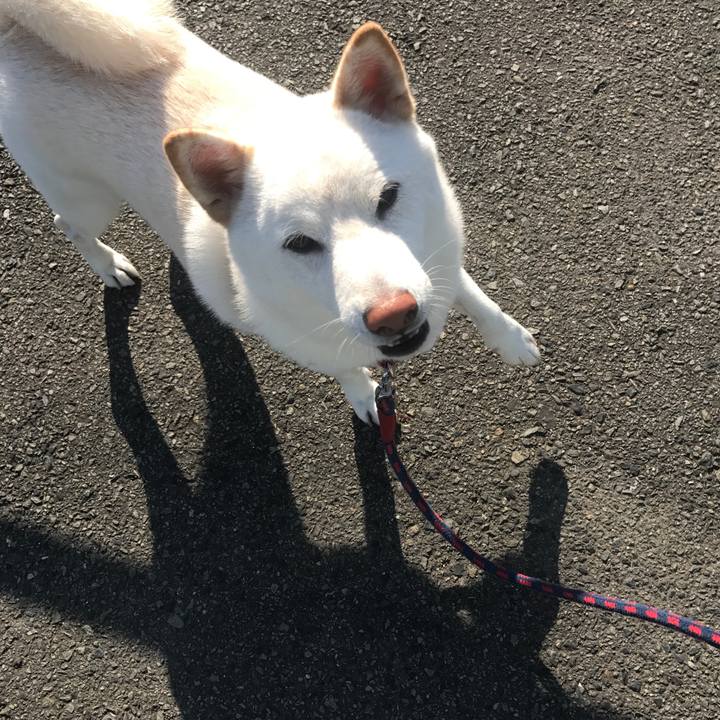 C7f41ec4 bf2c 4456 b32c d1c775364cb2