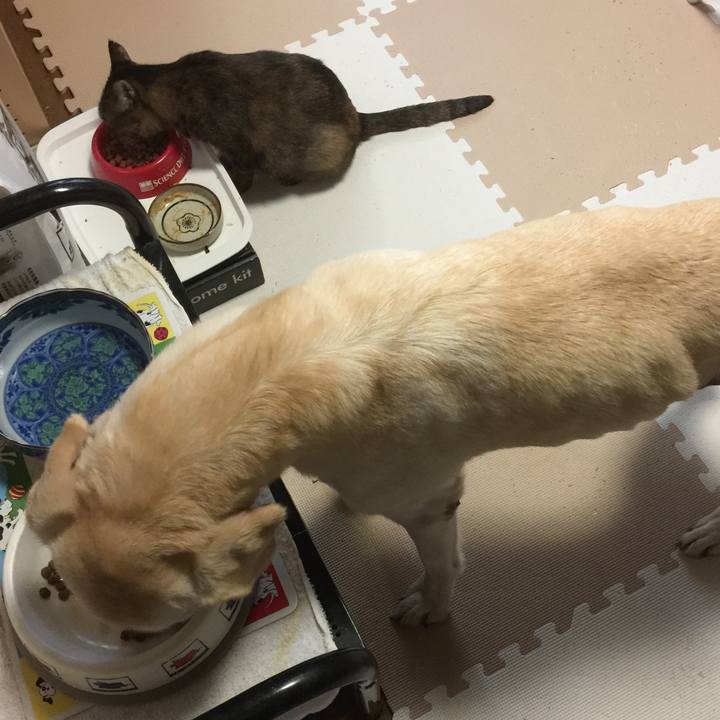 C7f429ff 85b2 4870 84f0 df3285f97412