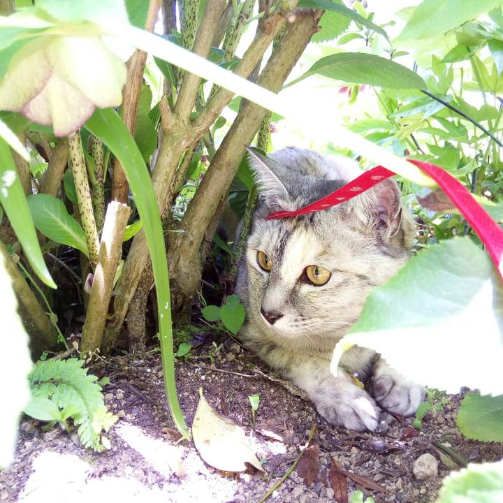 C7f442bf 1de2 492f b03f 17831e3582d1