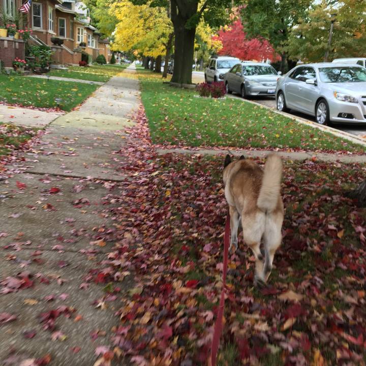 C7f495ab 3af0 4539 b39f 381f7ada29a5