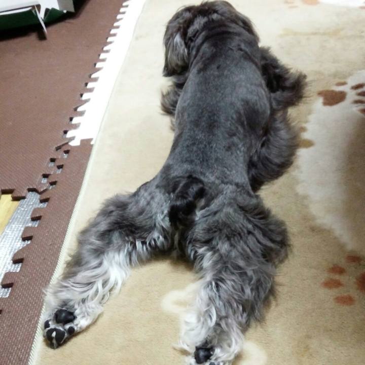 C7f4e408 3e68 4e77 a4d7 0beef7cebd3e