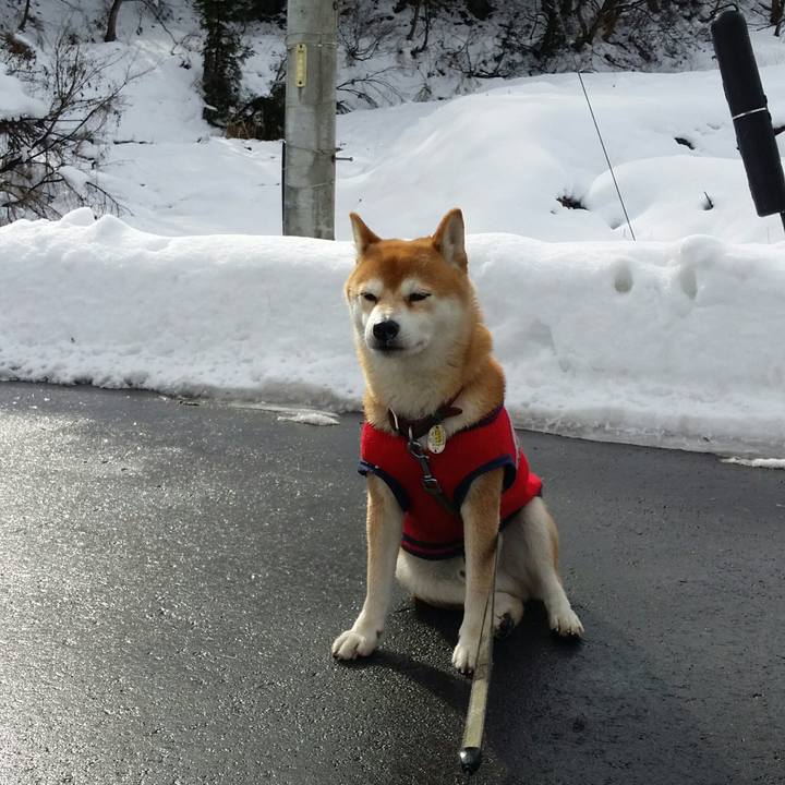 C7f5590b a649 4eb8 bcbf da0ae8a11642