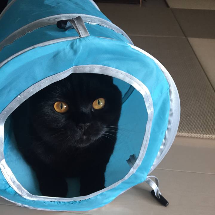 C7f5b94b f218 412e ac26 7062129c10b7