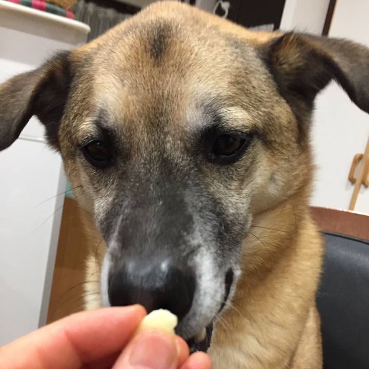 C7f63889 78bb 465d 9ee3 eb5e7a80c4c7