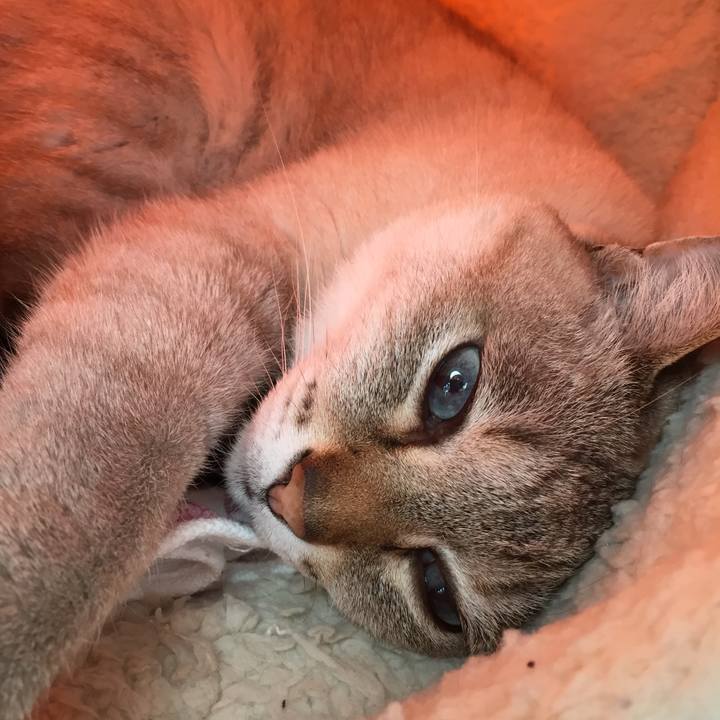 C7f70fc8 7676 40cf 8f07 48c22a389ded