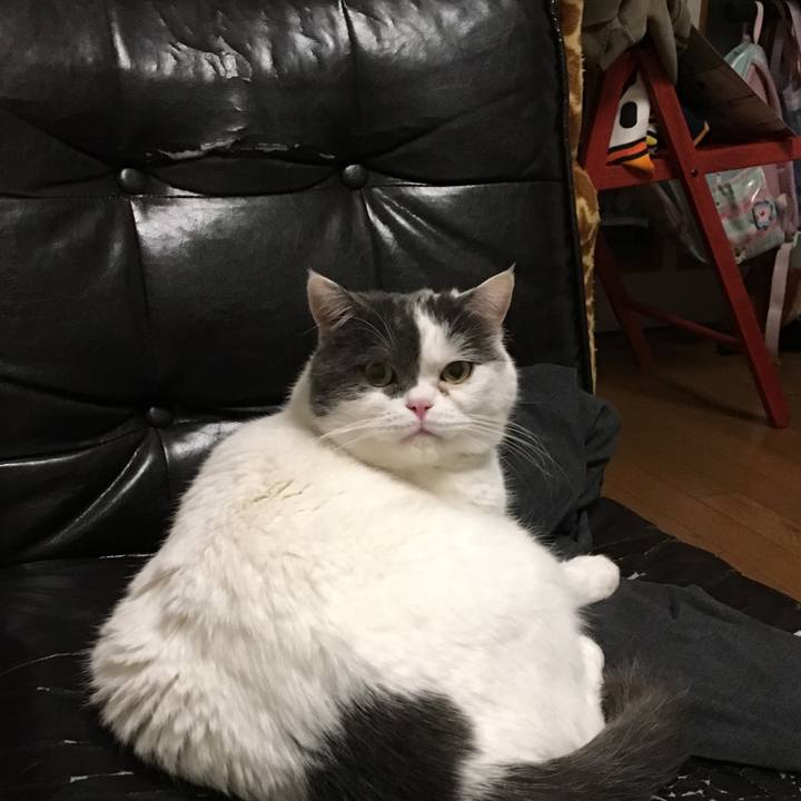 C7f7aa7f 97ef 4f2d 9cd3 e40fa5dd9245