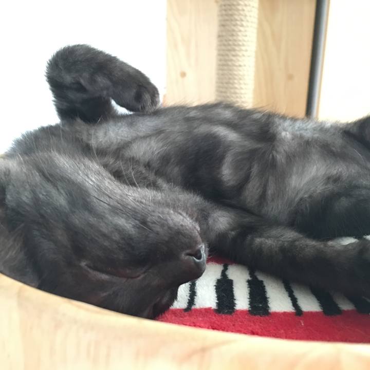 C7f7d954 5a45 4577 ab23 ee2467480ef6