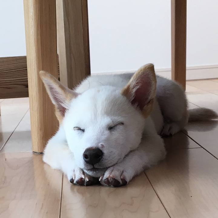 C7f7fca9 89c1 40e3 afc4 ce4a462215c4