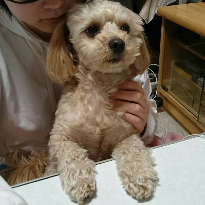 C7f85c7d 359c 41e0 b796 5eed6b62c057