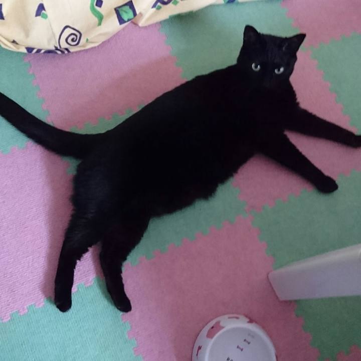 C7f8adc1 c100 4431 8f8f 288f1271f46f