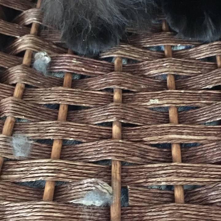 C7f9f69e adb7 4955 934b d3e83ce83c55