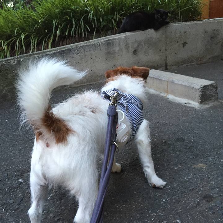 C7fa1691 9957 4e2b 9175 366e59ea2244