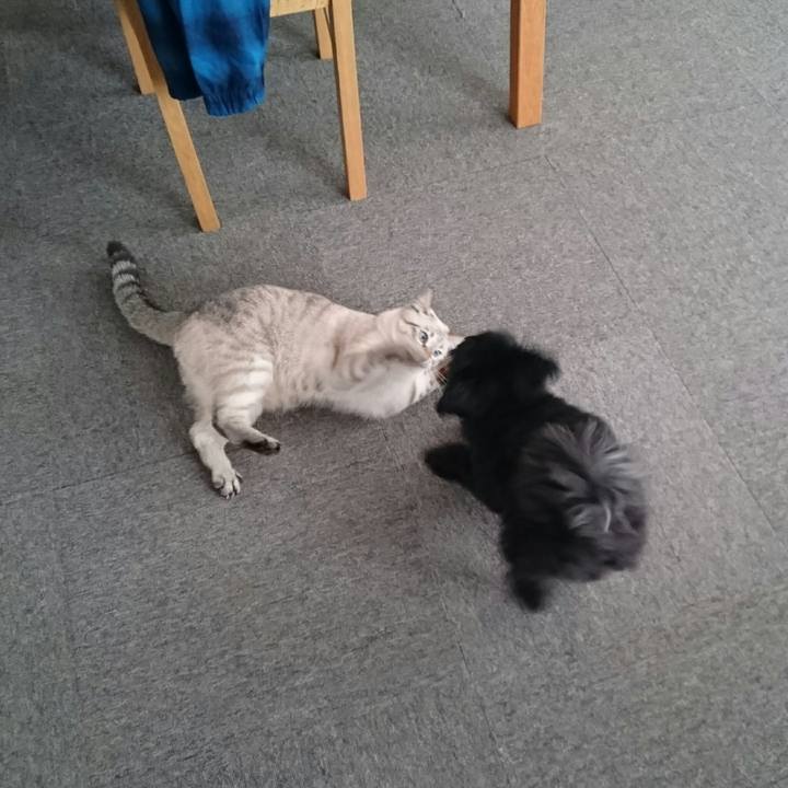 C7fa59fa f802 4bf4 8063 f8f8128d3754