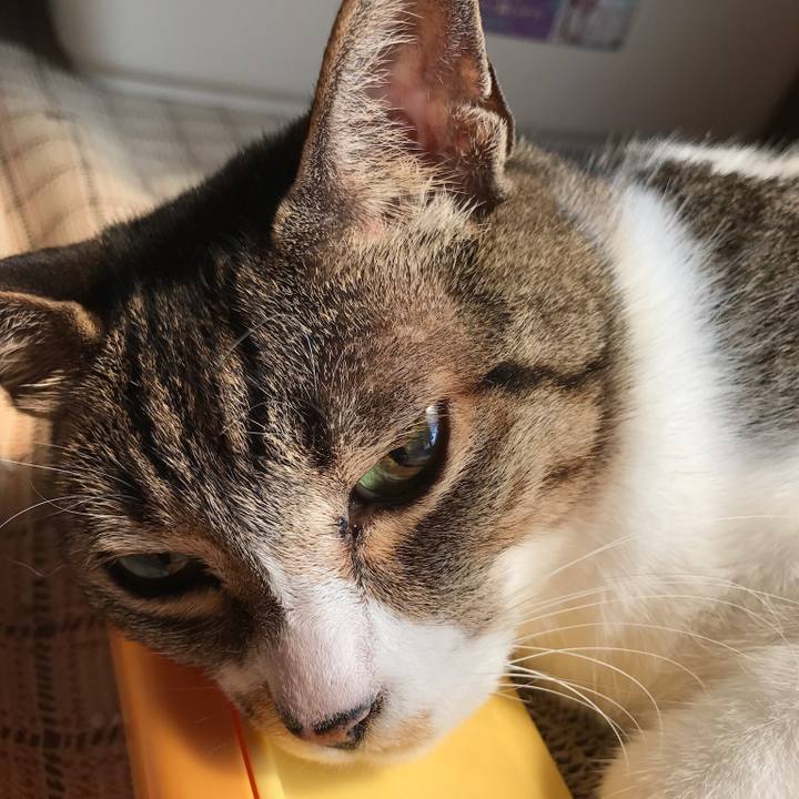 C7fa6786 5aaf 4b42 a03b 61dc845b4f4c