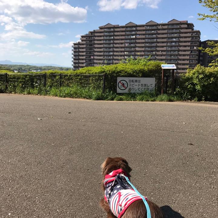 C7faa8cb 20ae 41b3 9dcd 1ce1de2fb74a