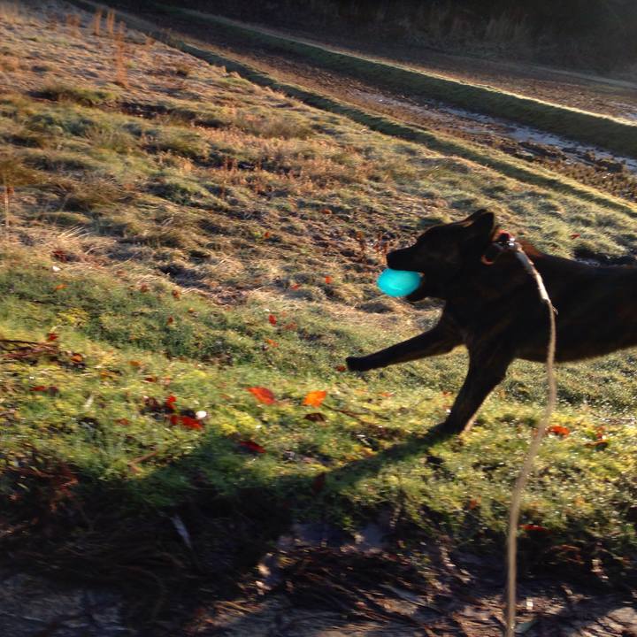 C7fab1dd 659c 4a38 83e8 cbebb3b46ef5