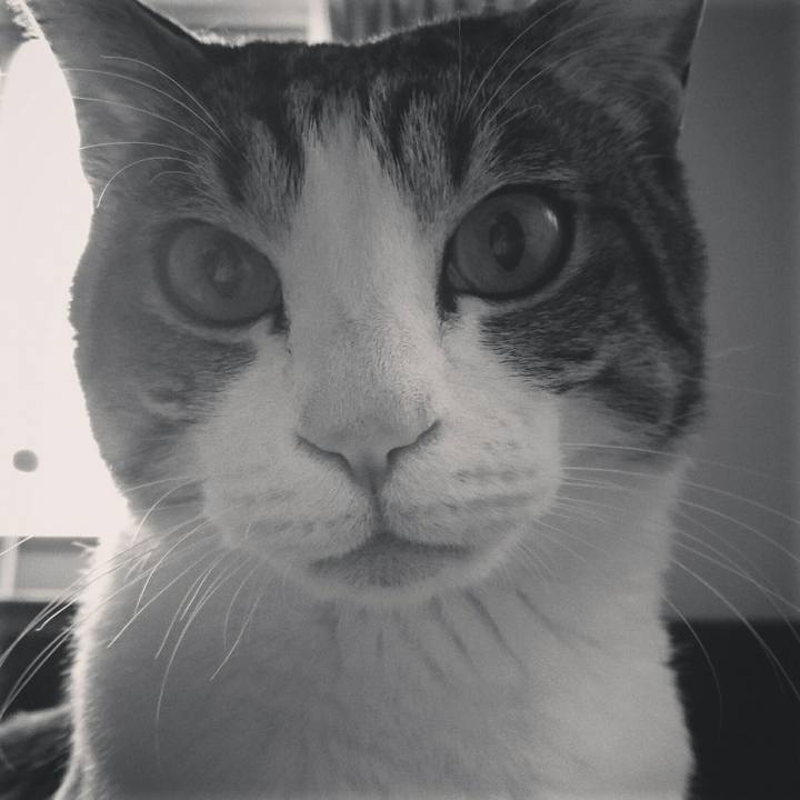 C7fadca2 86ba 47e5 a70d 79c1ace154c3