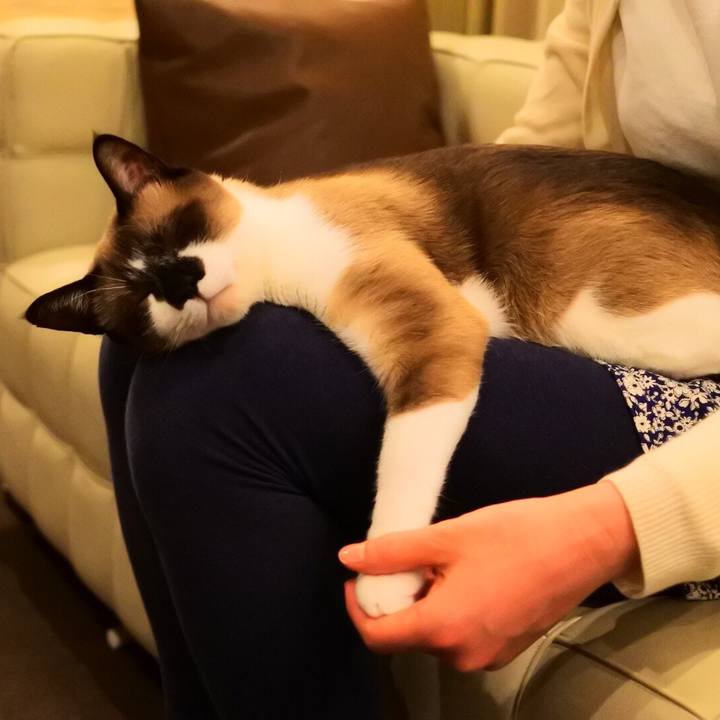 C7fb2911 14b4 45f0 9cf2 4bf0d11fbfdd