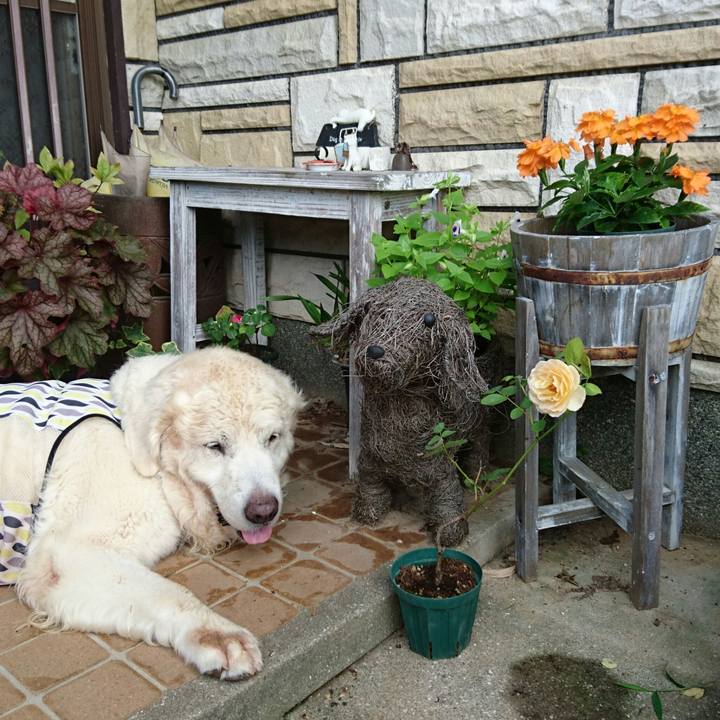 C7fbc3d4 150b 4cd8 9173 2f6444096c6f