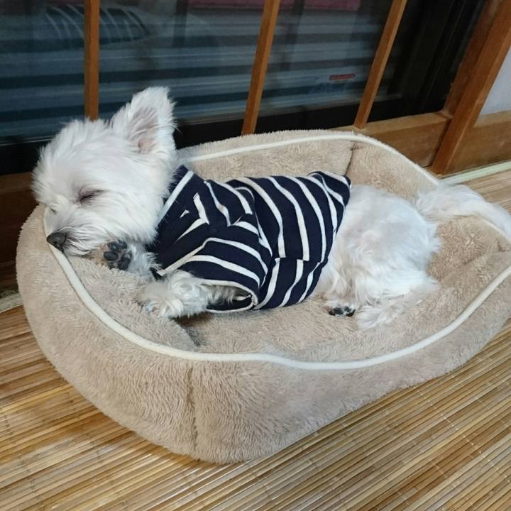 C7fbf954 c029 4a83 bd14 e3f88427b2fe