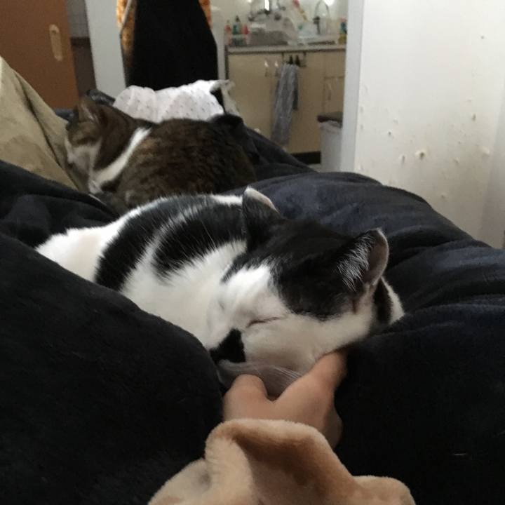 C7fc527d 07b3 4932 949b ee52f82f0cda