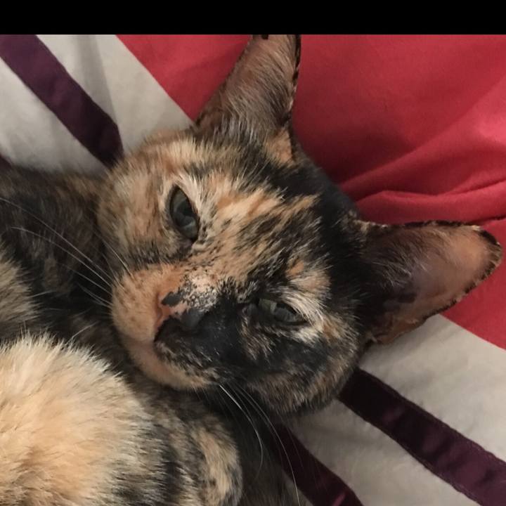 C7fe080e 0143 438a ae50 1d22cec243ae