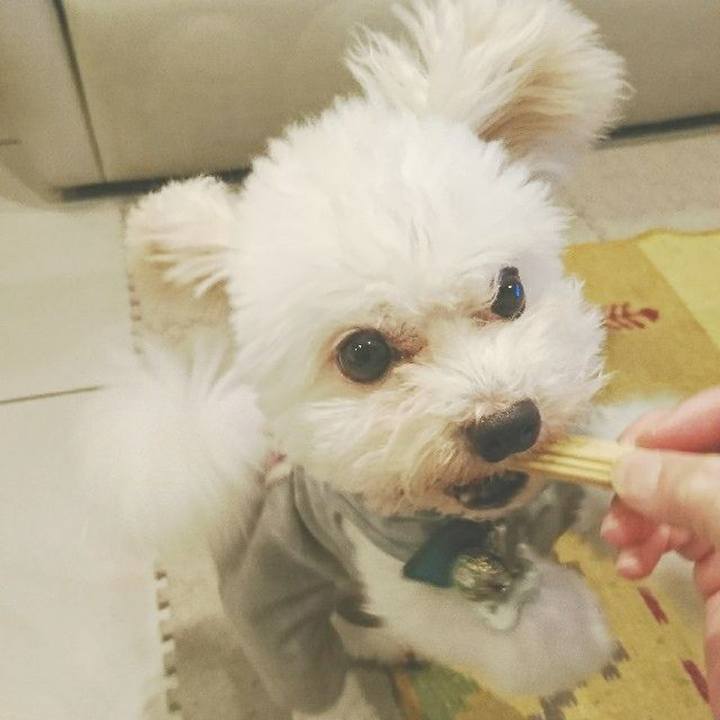 C7fe72ec d9bf 4690 b2ae 27c597b57cb9